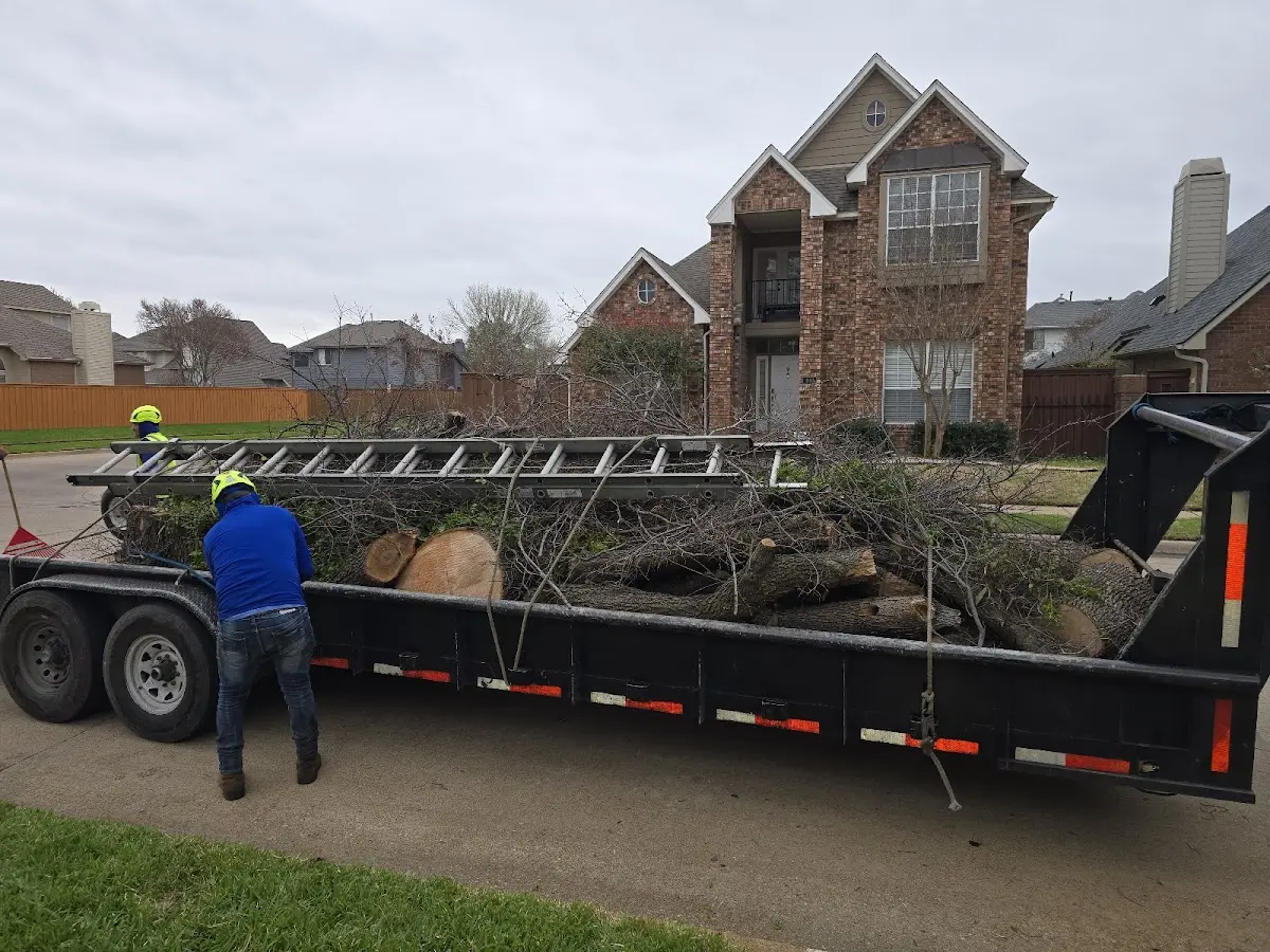 Expert Tree Fertilization with proper safety equipment in Jeff